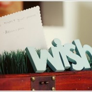 1st Birthday Inspiration