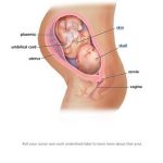 33 Weeks!
