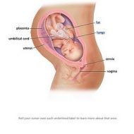 34 Weeks!!