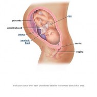 35 Weeks