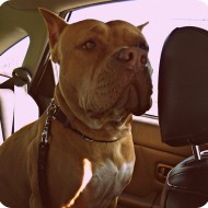 Finally a Beautiful Day