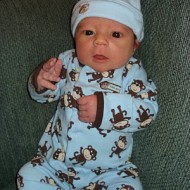 1 Week Old