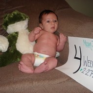 Mason’s 4 Week Pictures