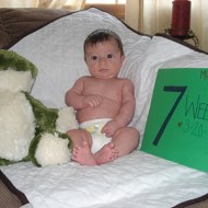 Mason’s 6 and 7 Week Photos