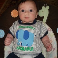 Enormously Adorable