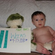 11 Weeks Old