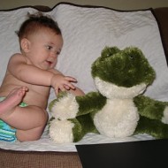 See The Lil One Grow Week By Week