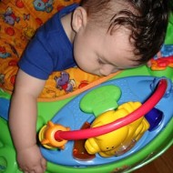 Wordless Wednesday