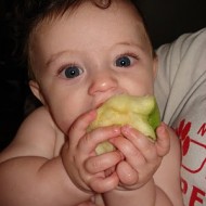 Not That Wordless Wednesday