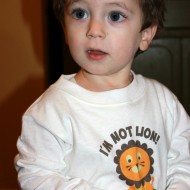 He’s Not Lion…