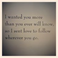 I Wanted You More Than You Will Ever Know