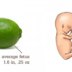 11 Weeks #Pregnancy