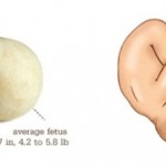 36 Weeks #Pregnancy Update