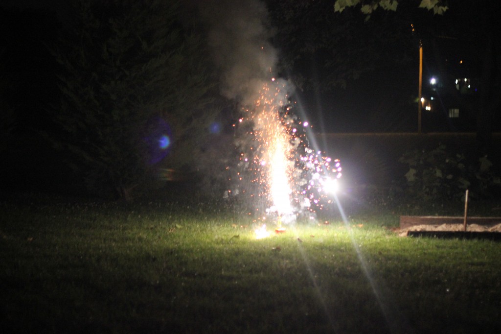 July 2013 456