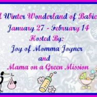 A Winter Wonderland #Giveaway