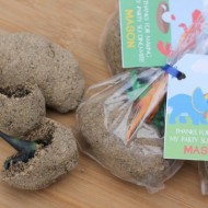 Dinosaur Rock Party Favors