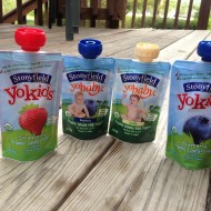 Little Us Approved: *New* Stonyfield Yogurt Pouches