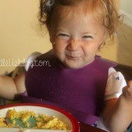 Baby Led Weaning Must Have