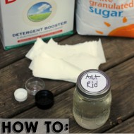 How To Get Rid of Ants