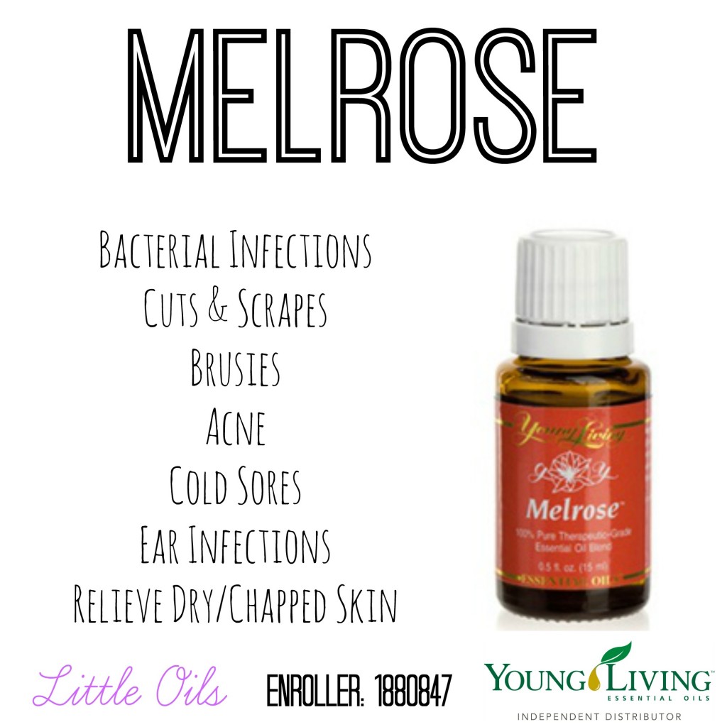 melrose card