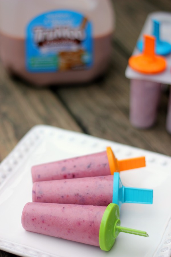 Berry Chocolate Breakfast Popsicles Berry Chocolate Breakfast Popsicles