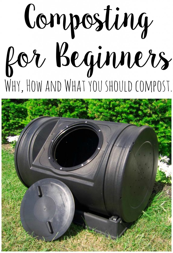 composting for beginners