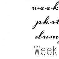 WPD Week 8