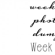 WPD Week 10: Dude Where’s my Phone?