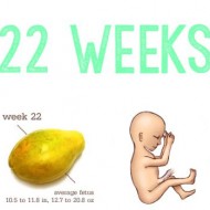 22 Weeks #Pregnancy Update