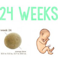 23 & 24 Week #Pregnancy Update (YAY! V-Day)