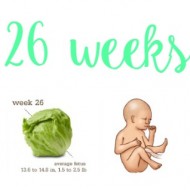 26 Weeks with Baby G4
