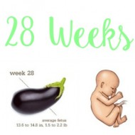 28 Weeks with Baby G4
