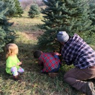 O Christmas Tree + #Giveaway
