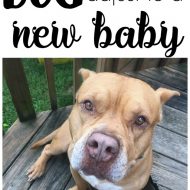 5 Tips for Welcoming a New Baby Home with a Dog + Beneful Giveaway