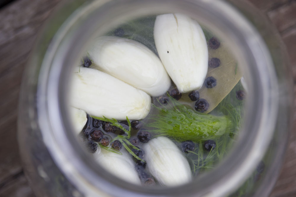 close up ingredients