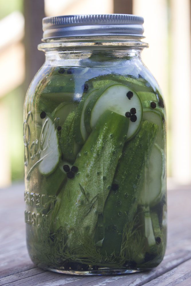 fridge pickles_1
